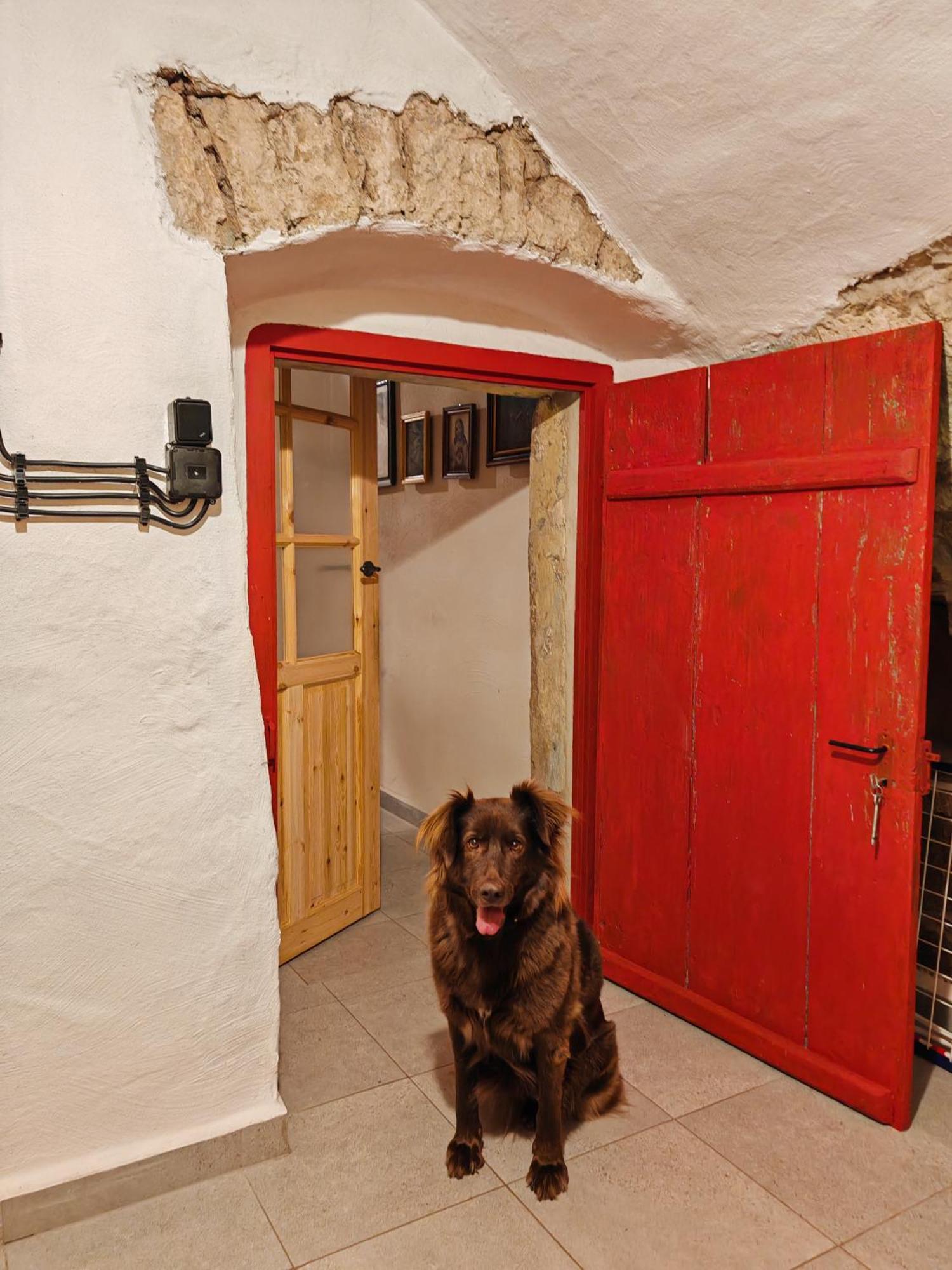 Hostal Resztowka Polanica-Zdrój Exterior foto
